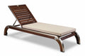 **Technische titel in het Nederlands: "Regelbare Loungestoel van Hout en RVS"**